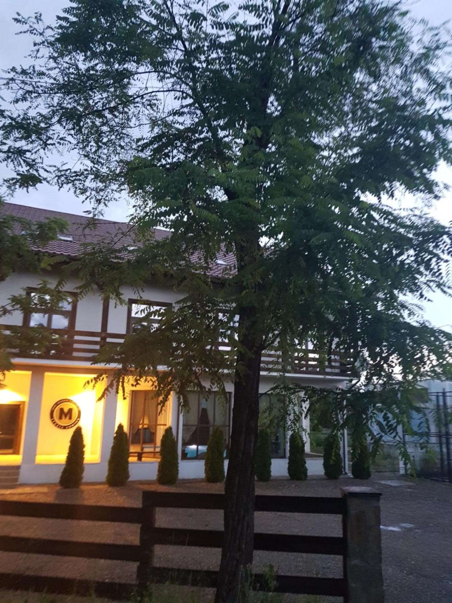 Pension Casa Drumetului Piatra Neamţ Exterior foto